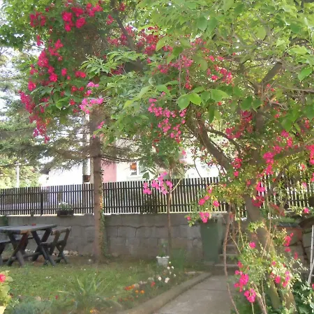 Sobe Biljana Arandjelovac