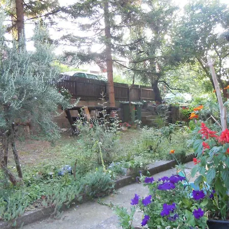 Sobe Biljana Arandjelovac