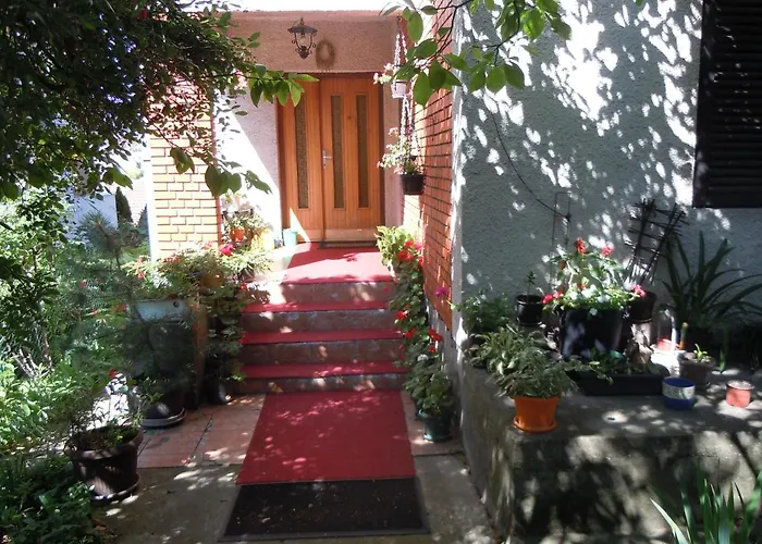 Sobe Biljana 3* 아란젤로바츠