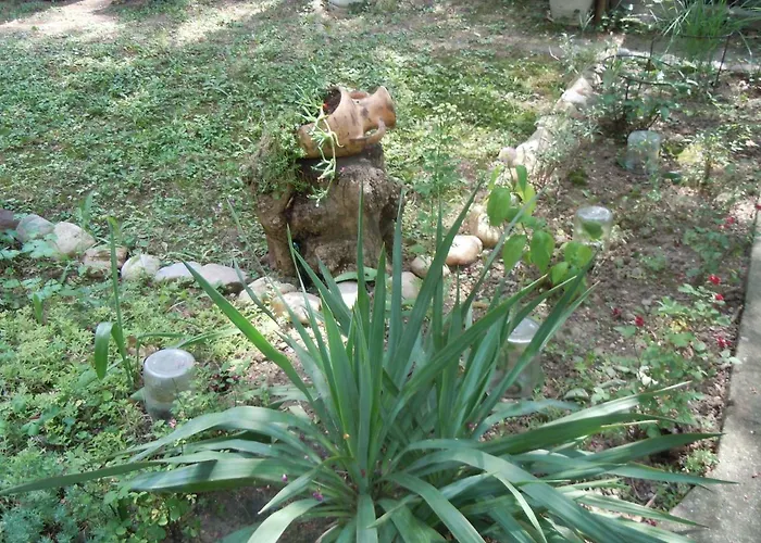 게스트하우스 Sobe Biljana 3*