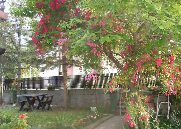 Sobe Biljana 아란젤로바츠