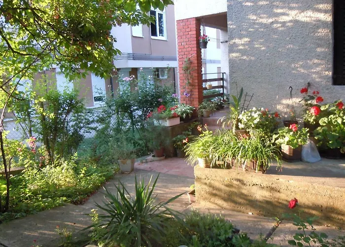 게스트하우스 Sobe Biljana 아란젤로바츠